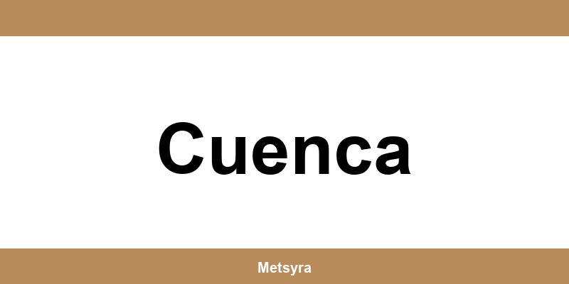 Teléfono de UPS Access Point ubicado en Cuenca